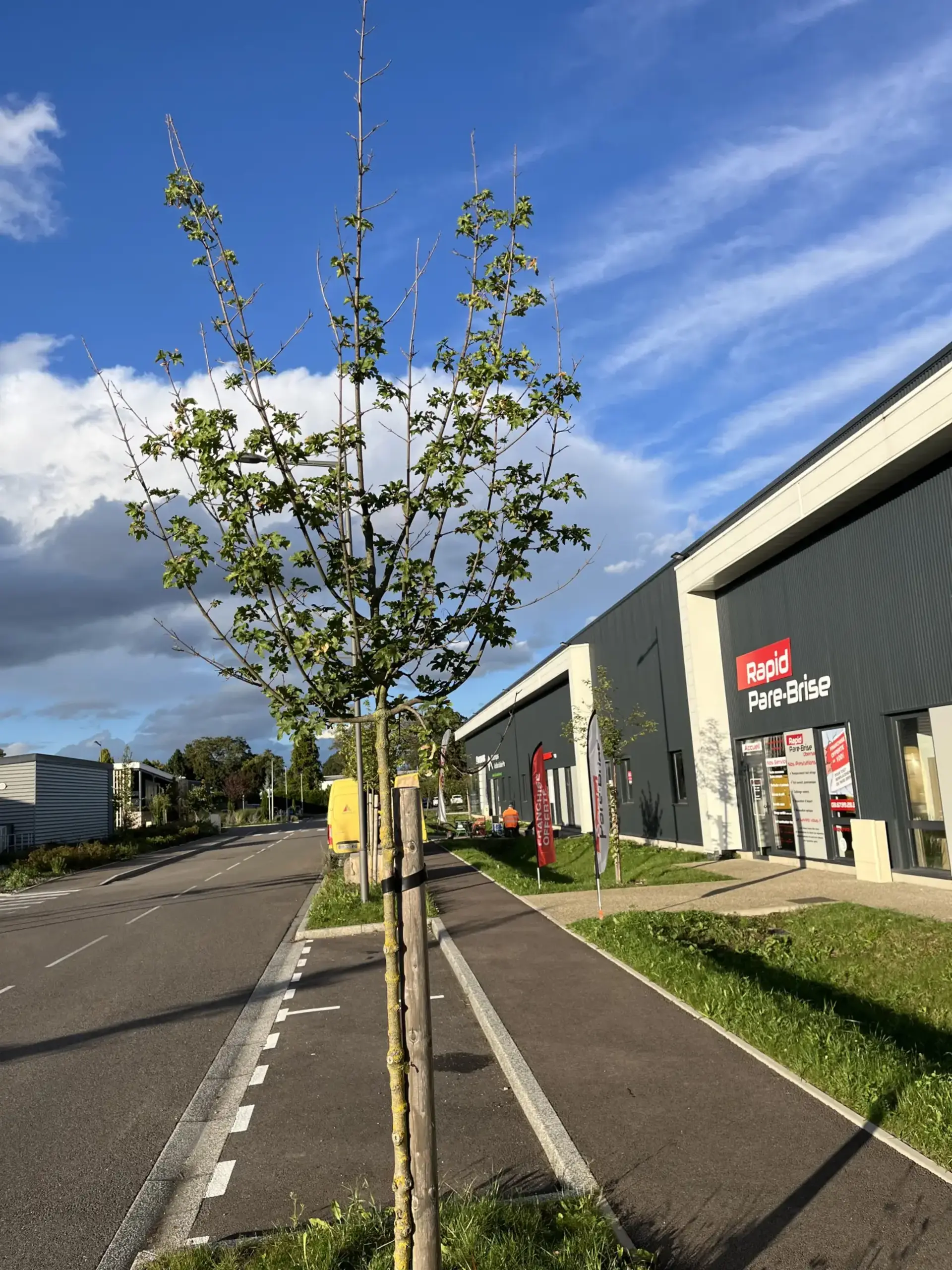 Photo Rapid Pare-Brise Obernai